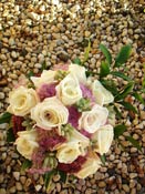 773-505-2069 Event Planner Daureen Parenti
