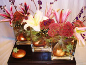 773-505-2069 Event Planner Daureen Parenti