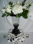 773-505-2069 Event Planner Daureen Parenti