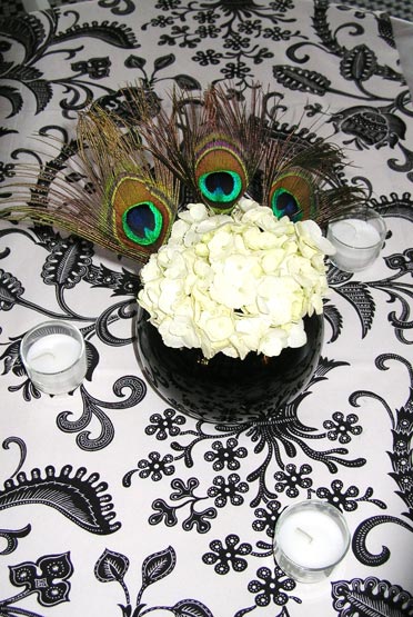 773-505-2069 Event Planner Daureen Parenti