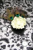 773-505-2069 Event Planner Daureen Parenti