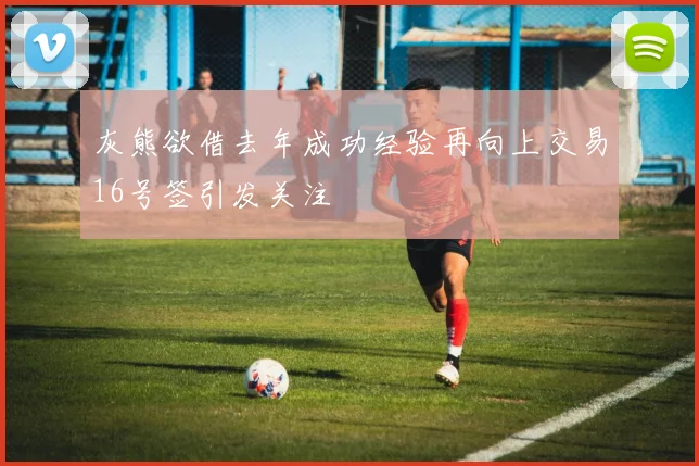 灰熊欲借去年成功经验再向上交易16号签引发关注
