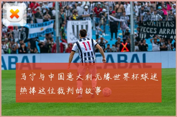 马宁与中国意大利无缘世界杯球迷热捧这位裁判的故事