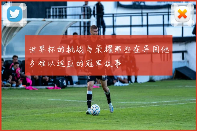 世界杯的挑战与荣耀那些在异国他乡难以适应的冠军故事