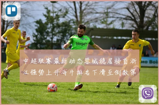 中超联赛最新动态蓉城稳居榜首浙江强势上升海牛排名下滑至倒数第三